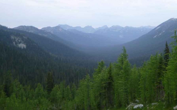 green trees stand in front of a mountainous valley in the pacific northwest